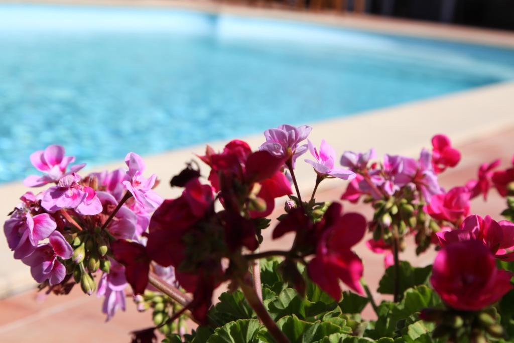 Oeno-Lodge Saint-Germain-d'Esteuil Luaran gambar